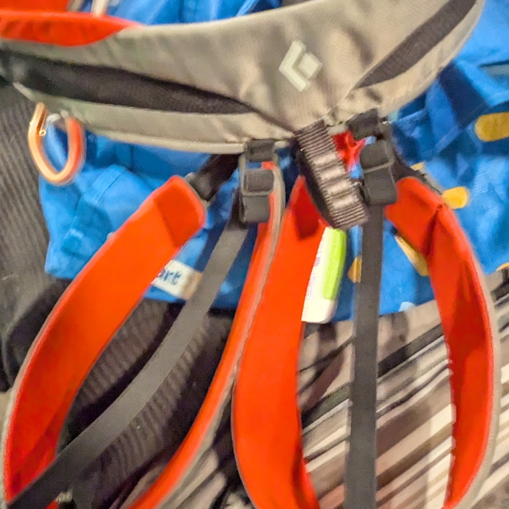 Black Diamond Climbing Harness